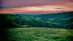 Sunset Trees clouds comfort skies forests shaq
