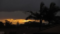 Sunset Trees clouds rain