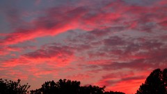 Sunset Trees clouds red clouds