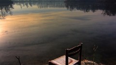 Sunset Trees cold coldplay