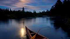 Sunset Trees evening