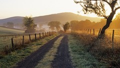 Sunset Trees France roads