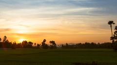Sunset Trees grass sun clouds skies