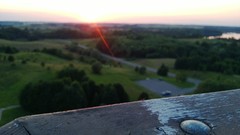 Sunset Trees grass sun evening skies