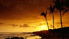 Sunset Trees Hawaii Kauai