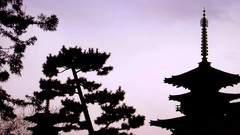 Sunset Trees Japan churches skyscapes nara