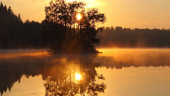Sunset Trees lakes reflections