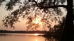 Sunset Trees lakes reflections