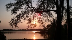Sunset Trees lakes reflections
