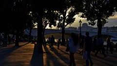 Sunset Trees London shadows