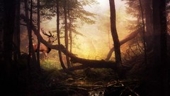 Sunset Trees magic branches streams rivers forests sanctuary