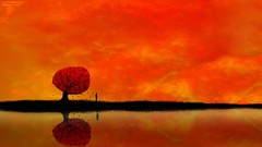 Sunset Trees orange artwork orange sky orange light