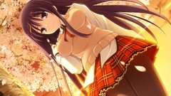 Sunset Trees Ribbons schoolgirls bows skirts sunlight long hair 