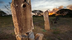 Sunset Trees rocks national geographic