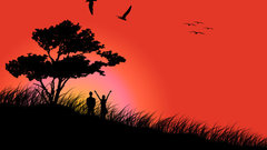 Sunset Trees silhouettes