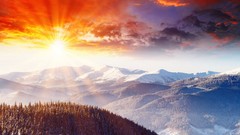 Sunset Trees snow winter forests