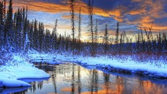 Sunset Trees snow winter rivers
