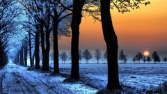 Sunset Trees snow winter roads
