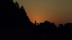 Sunset Trees sun black summer orange weather shadows skies