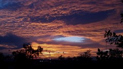 Sunset Trees sun clouds skies Somewhere