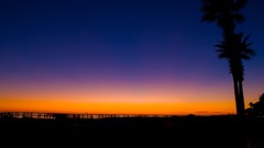 Sunset Trees vacation