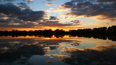 Sunset Trees water clouds lakes skies