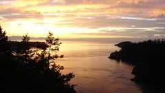 Sunset Trees water clouds ocean