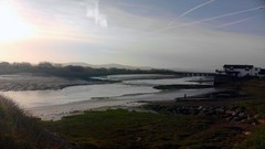 Sunset Trees water dawn Birds rivers