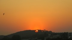 Sunset Trees yellow sun Orange Sun