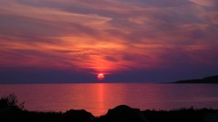 Sunset Trees yellow sun waterfalls Beaches