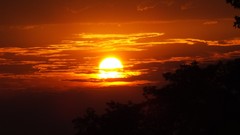 Sunset Trees yellow sun waterfalls Beaches
