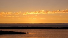 Sunset Trees yellow sun waterfalls Beaches