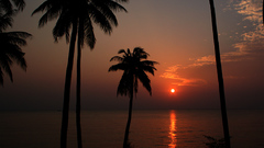 Sunset tropical
