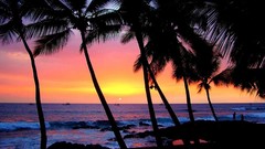 Sunset tropics Beaches