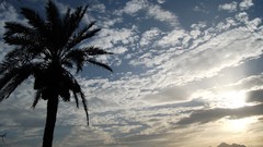 Sunset Turkey antalya yatch Palmtree