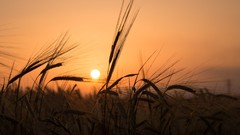 Sunset viewscape Sunny Hill