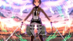 Sunset wall clouds weapons Anime Swords shirts jackets belts 