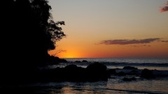 Sunset water Beaches