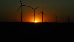 Sunset windmills