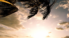 Sunset worth pondering scenery