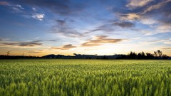 Sunset xperia Xperia Z