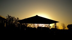 Sunset yellow black brown silhouettes shed