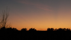 Sunsets Landscapes nature silhouette