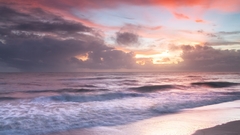 Sunsets seashells nature