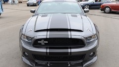 Super snake shelby gt500 muscle cars