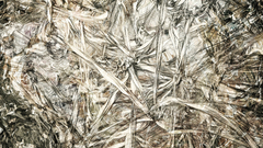 Supported incoherent abstract