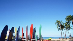 Surfboards palm trees Beaches