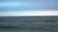 surfing Sea surfers horizon sky outdoors People