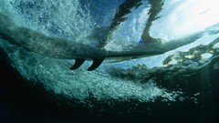 Surfing underwater Barbados split-view