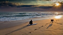 surfing waves beach sky dog sunlight horizon outdoors Men sun
